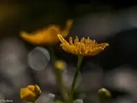 IMG_7716.jpg