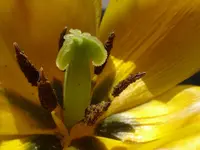 101.webp