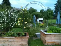 2015-06-21 Luffabogen..webp