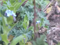 P1010780.webp