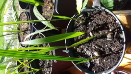 20160420_142123.webp