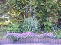Poolbeet1.webp