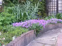 Poolbeet2.webp