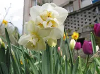 006 - Kopie.webp