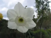 009 - Kopie.webp
