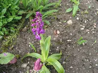 020 - Kopie.webp