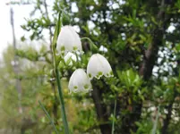 023 - Kopie.webp