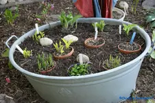 comp_DSC04785.webp