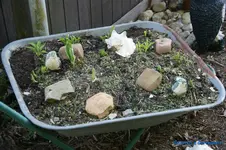 comp_DSC04787.webp