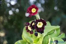 comp_DSC04790.webp