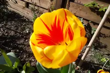 SAM_1034.webp