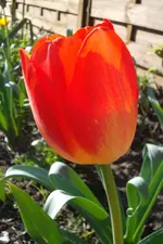 SAM_1035.webp