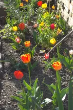 SAM_1036.webp