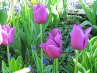 CIMG1921.webp