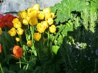 CIMG1927.webp