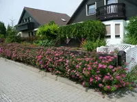 Gesamtansicht von.15.06.2011.webp