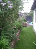 PIC00225.webp