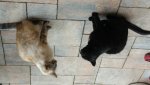 20160419_122541.jpg