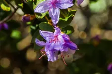 2016-04-21-0291.webp