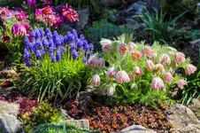 2016-04-21-0293.webp