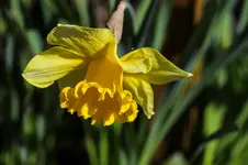 2016-04-21-0297.webp