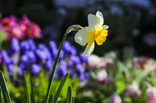 2016-04-21-0298.webp