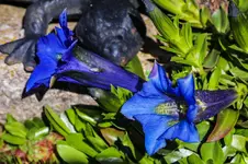 2016-04-21-0301.webp
