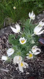 donnerstag 032.webp