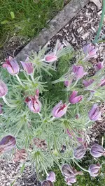 Donnerstag033.webp