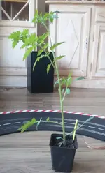 2016-04-22_09.44.41.jpg