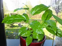 DSCF9209.webp