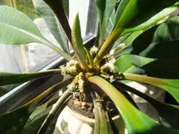 DSCF9215.webp