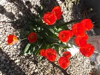 DSCF9117.webp