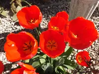 DSCF9118.webp