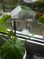 DSCN3926.webp