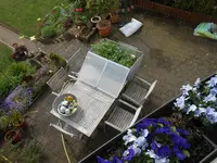 DSCN3929.webp