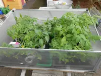 DSCN3898.webp