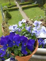 DSCN3928.webp