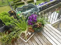 DSCN3927.webp
