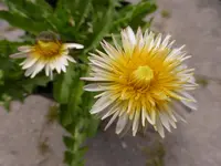 P1090462.webp