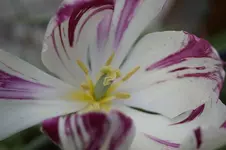 _DSC0255.webp