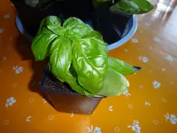 106.webp