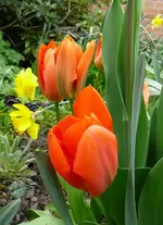 P1110535.webp