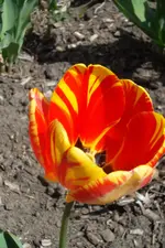 SAM_1045.webp
