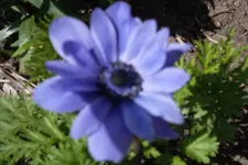 SAM_1047.webp