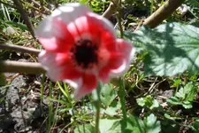 SAM_1048.webp