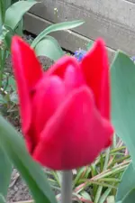 SAM_1051.webp