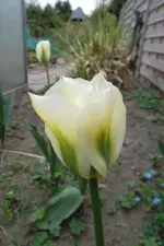 SAM_1052.webp