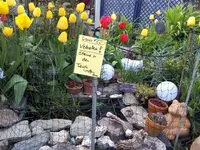 IMG_20160422_191030.webp