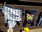 IMG_20160421_125836.jpg